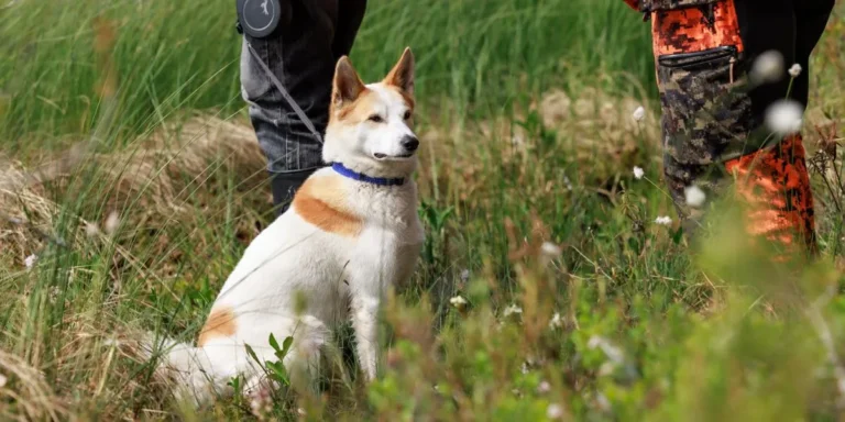 Portin laajennushankkeen YVA-ohjelma nähtäville